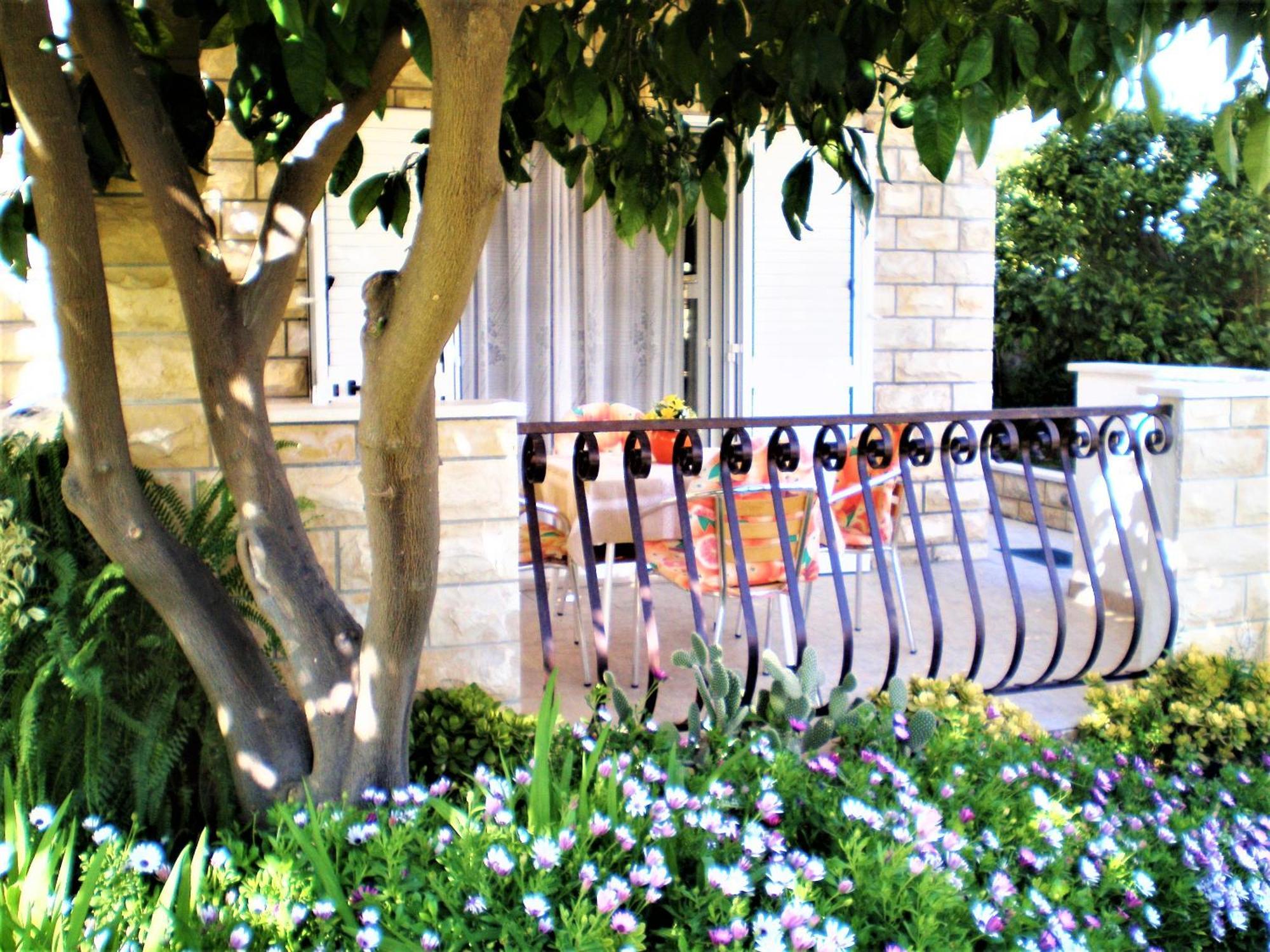 Apartments Tamara Hvar Town Room photo